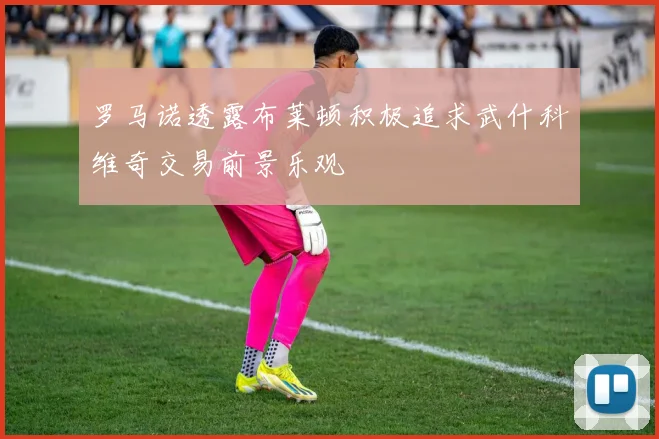 罗马诺透露布莱顿积极追求武什科维奇交易前景乐观