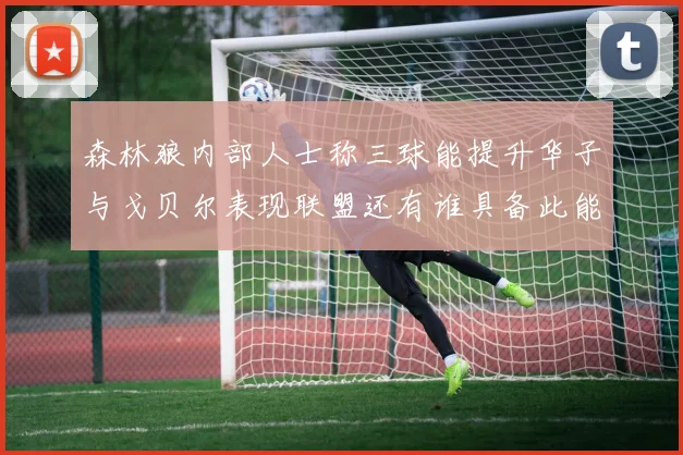 森林狼内部人士称三球能提升华子与戈贝尔表现联盟还有谁具备此能力