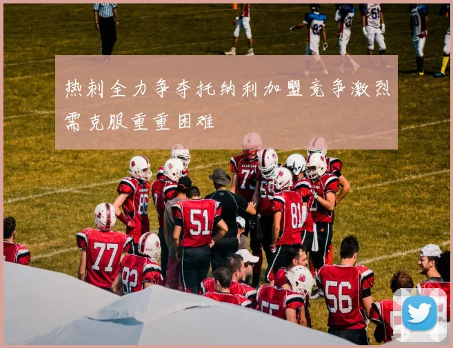 热刺全力争夺托纳利加盟竞争激烈需克服重重困难